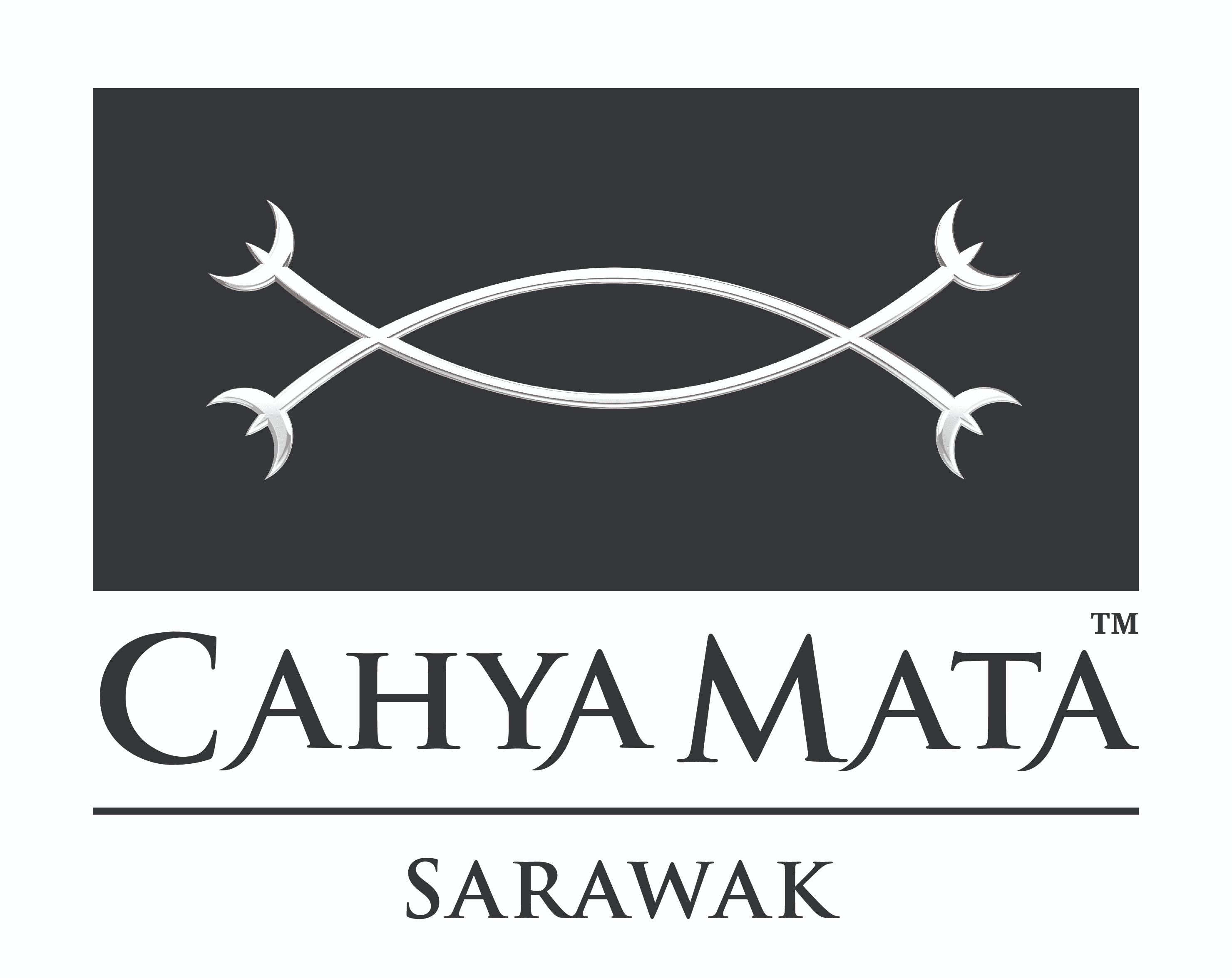 CMS Logo