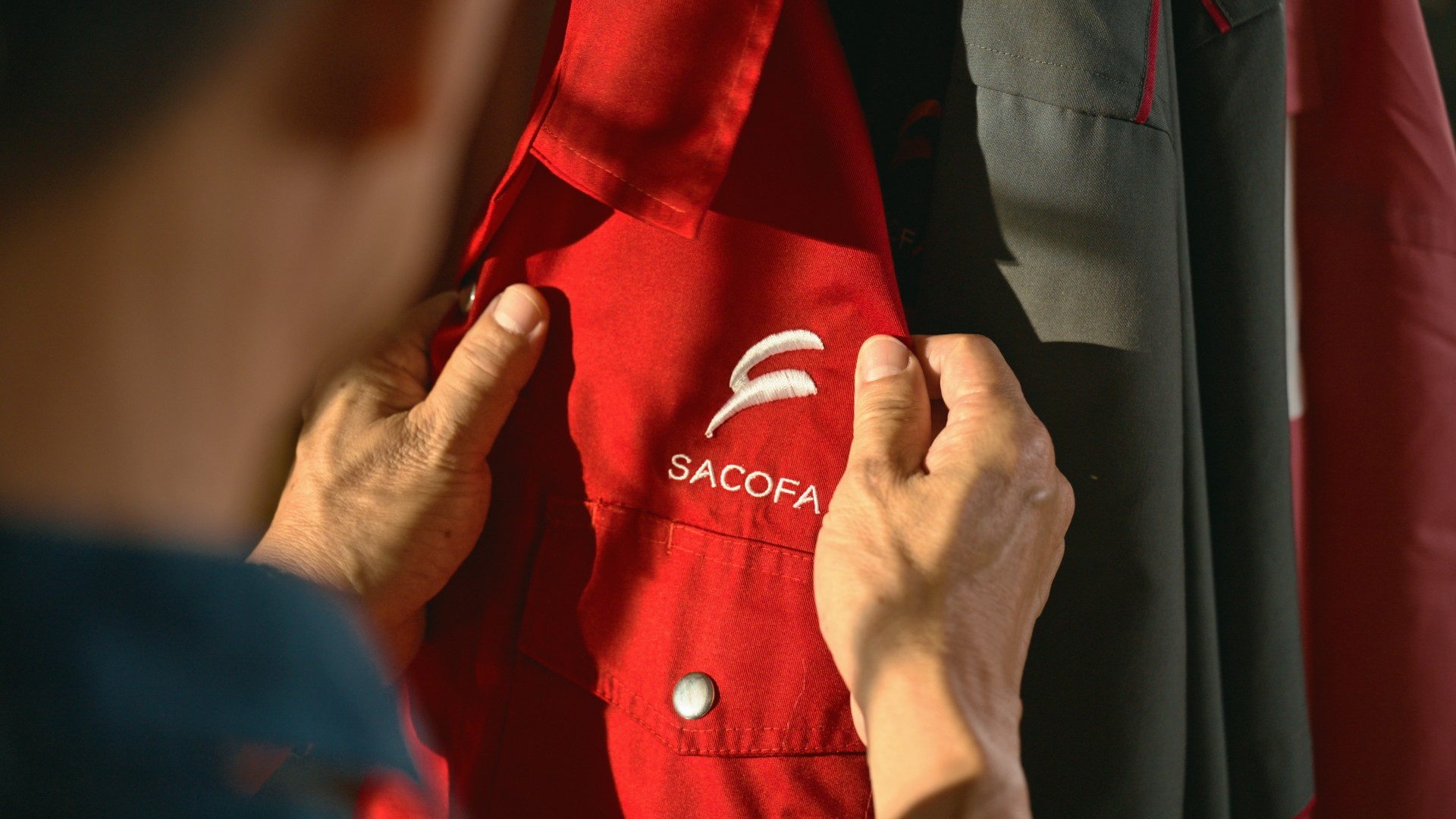 Sacofa Internship